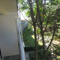 фото из отзыва ID 402146