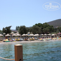 фото из отзыва ID 402182