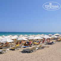 фото из отзыва ID 402300