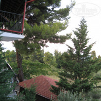 фото из отзыва ID 402382