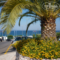 фото из отзыва ID 402434