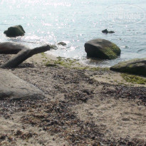 фото из отзыва ID 402516