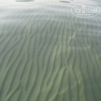 фото из отзыва ID 402802