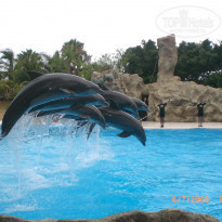 фото из отзыва ID 402874