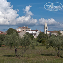 фото из отзыва ID 402913