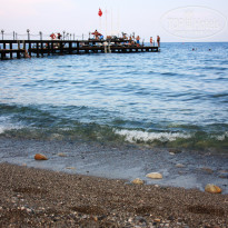 фото из отзыва ID 403016