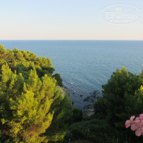 фото из отзыва ID 403031