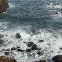 фото из отзыва ID 403471