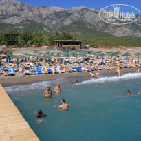 фото из отзыва ID 404225