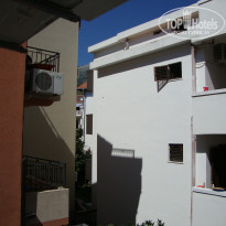 фото из отзыва ID 404553