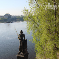 фото из отзыва ID 405040