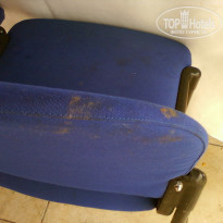 фото из отзыва ID 405439