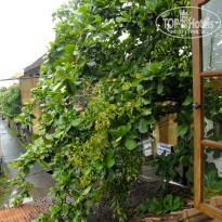 фото из отзыва ID 405483