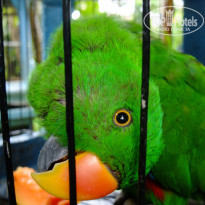 фото из отзыва ID 405483