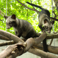 фото из отзыва ID 405483