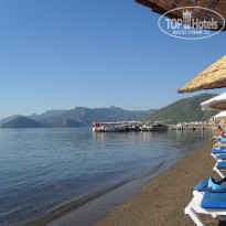 фото из отзыва ID 405559