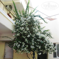 фото из отзыва ID 406023