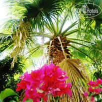 фото из отзыва ID 406023