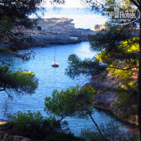 фото из отзыва ID 406135