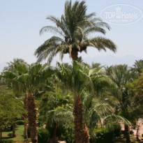 фото из отзыва ID 406155