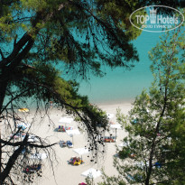 фото из отзыва ID 406410