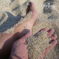 фото из отзыва ID 406707