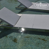 фото из отзыва ID 406746