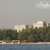 фото из отзыва ID 407241