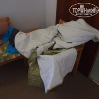 фото из отзыва ID 408415