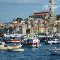 фото из отзыва ID 409111