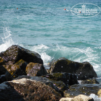 фото из отзыва ID 409111