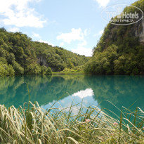 фото из отзыва ID 409111