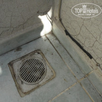 фото из отзыва ID 409214