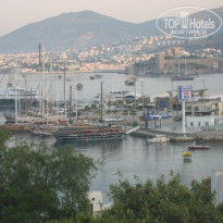 фото из отзыва ID 409297