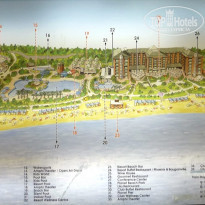 фото из отзыва ID 409652