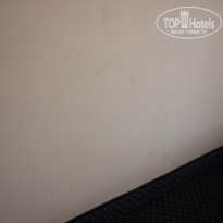 фото из отзыва ID 409875