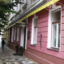 фото из отзыва ID 410175