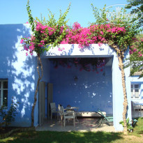 фото из отзыва ID 410641