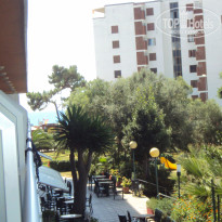 фото из отзыва ID 410645