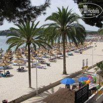 фото из отзыва ID 410804