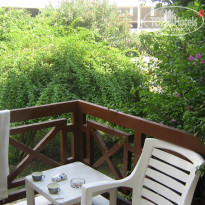 фото из отзыва ID 410872