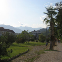 фото из отзыва ID 410872