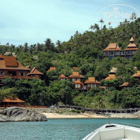 фото из отзыва ID 410877