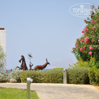 фото из отзыва ID 410868