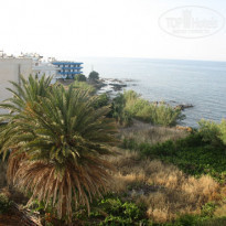 фото из отзыва ID 41129