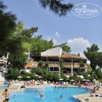 фото из отзыва ID 411237