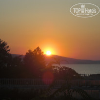 фото из отзыва ID 411678