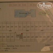 фото из отзыва ID 411963