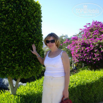 фото из отзыва ID 412337