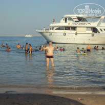 фото из отзыва ID 412113